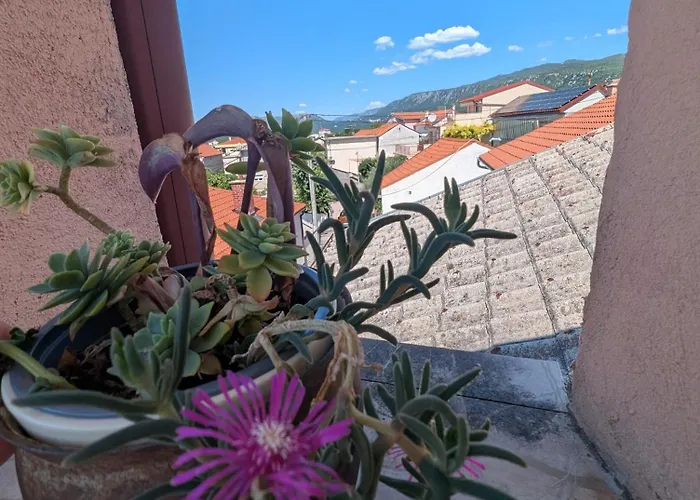 Dada Διαμέρισμα